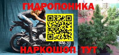 мяу мяу мука Мариинск