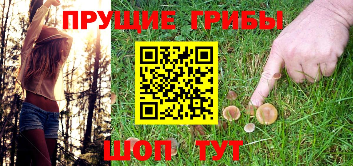Псилоцибиновые грибы мухоморы Якутск